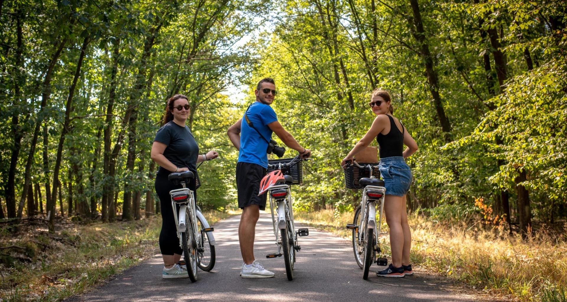 Vélo en forêt de Haguenau © Céline Schnell/Une Fille en Alsace
