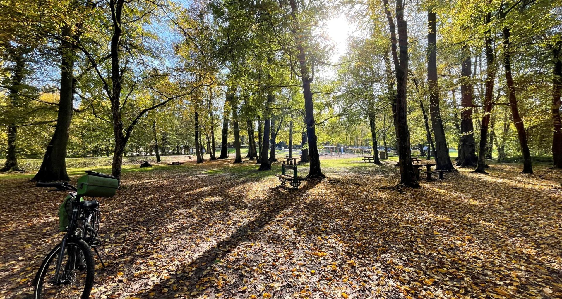 Gros Chêne-site in de herfst