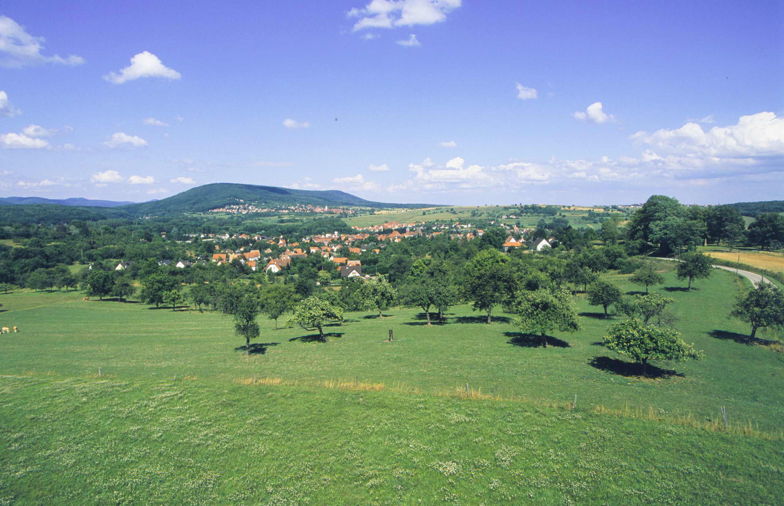 Paysage